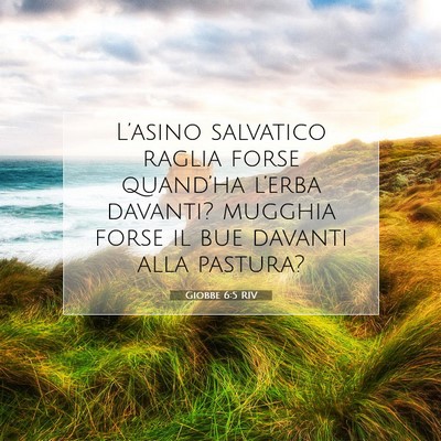 Giobbe 6:5 Versetto della Bibbia Spiegato