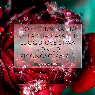 Giobbe 7:10 Versetto della Bibbia Spiegato
