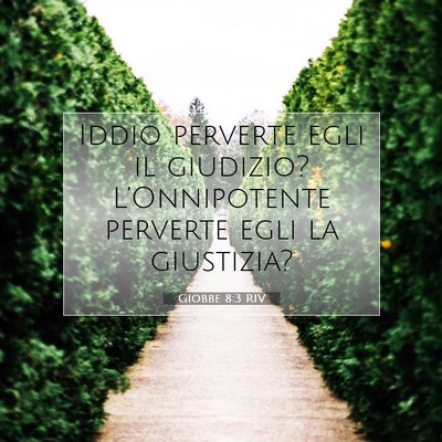 Giobbe 8:3 RIV Immagine del Versetto della Bibbia