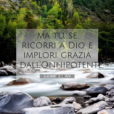 Giobbe 8:5 RIV Immagine del Versetto della Bibbia