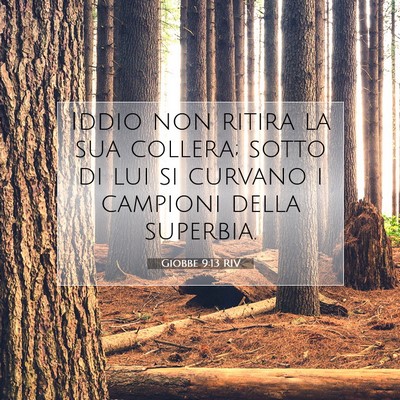 Giobbe 9:13 Versetto della Bibbia Spiegato