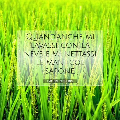 Giobbe 9:30 RIV Immagine del Versetto della Bibbia