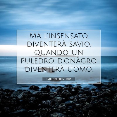 Giobbe 11:12 Versetto della Bibbia Spiegato