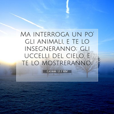 Giobbe 12:7 Versetto della Bibbia Spiegato