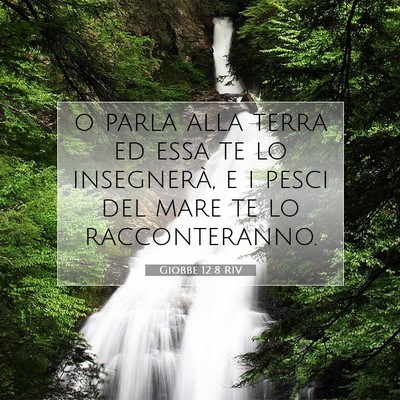 Giobbe 12:8 RIV Immagine del Versetto della Bibbia