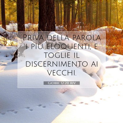 Giobbe 12:20 RIV Immagine del Versetto della Bibbia