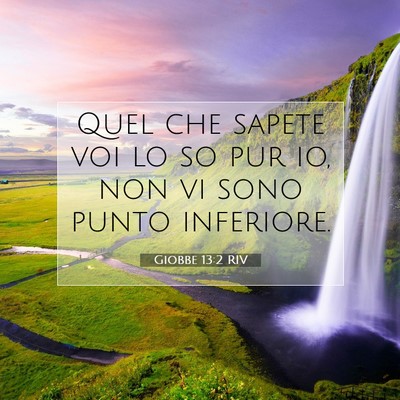 Giobbe 13:2 RIV Immagine del Versetto della Bibbia