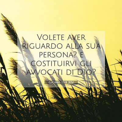 Giobbe 13:8 Versetto della Bibbia Spiegato