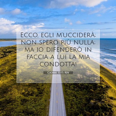 Giobbe 13:15 RIV Immagine del Versetto della Bibbia