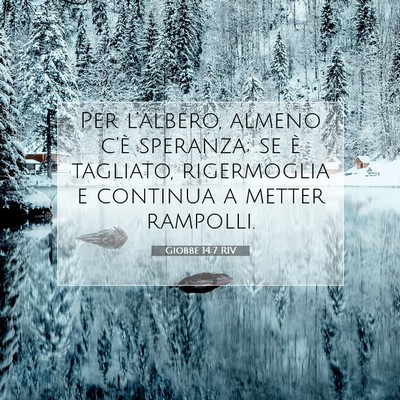 Giobbe 14:7 Versetto della Bibbia Spiegato