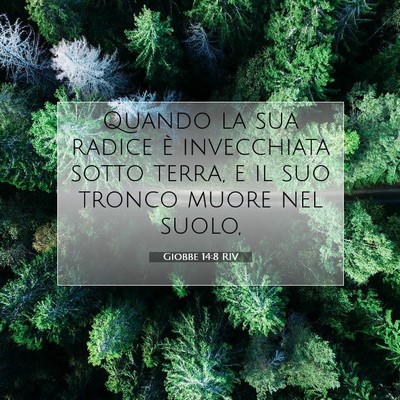 Giobbe 14:8 Versetto della Bibbia Spiegato