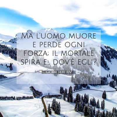 Giobbe 14:10 RIV Immagine del Versetto della Bibbia