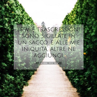 Giobbe 14:17 Versetto della Bibbia Spiegato