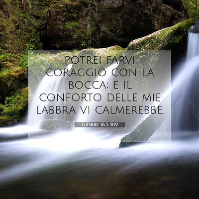 Giobbe 16:5 Versetto della Bibbia Spiegato