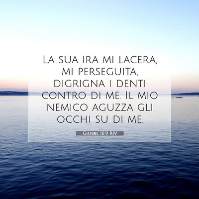 Giobbe 16:9 Versetto della Bibbia Spiegato
