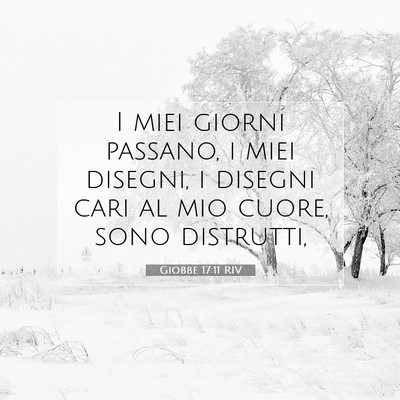 Giobbe 17:11 Versetto della Bibbia Spiegato