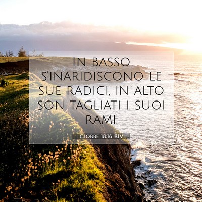 Giobbe 18:16 RIV Immagine del Versetto della Bibbia