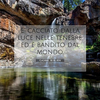 Giobbe 18:18 RIV Immagine del Versetto della Bibbia