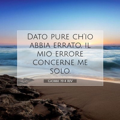 Giobbe 19:4 RIV Immagine del Versetto della Bibbia