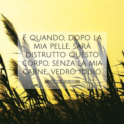 Giobbe 19:26 RIV Immagine del Versetto della Bibbia