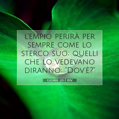 Giobbe 20:7 RIV Immagine del Versetto della Bibbia