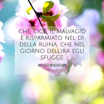 Giobbe 21:30 RIV Immagine del Versetto della Bibbia