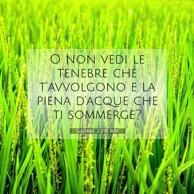 Giobbe 22:11 RIV Immagine del Versetto della Bibbia