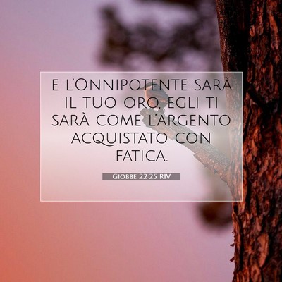 Giobbe 22:25 Versetto della Bibbia Spiegato