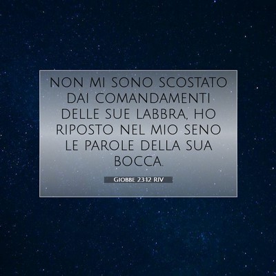 Giobbe 23:12 RIV Immagine del Versetto della Bibbia