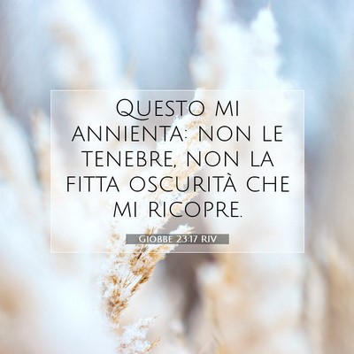 Giobbe 23:17 Versetto della Bibbia Spiegato