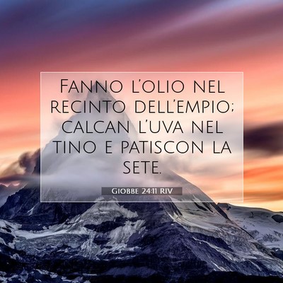 Giobbe 24:11 RIV Immagine del Versetto della Bibbia