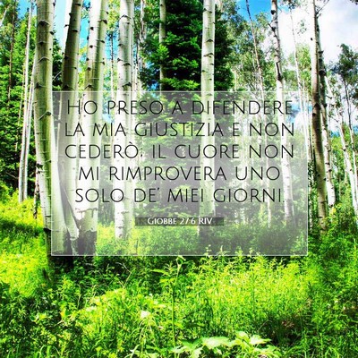 Giobbe 27:6 RIV Immagine del Versetto della Bibbia