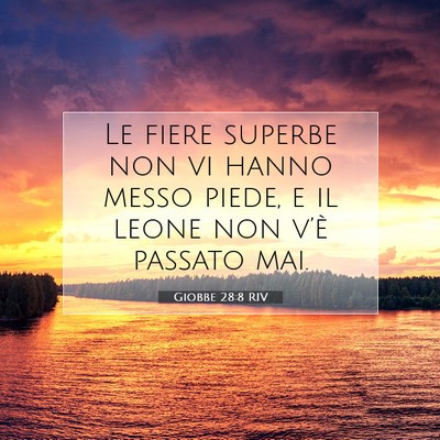 Giobbe 28:8 Versetto della Bibbia Spiegato