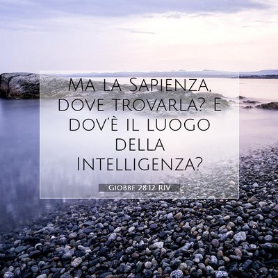 Giobbe 28:12 RIV Immagine del Versetto della Bibbia