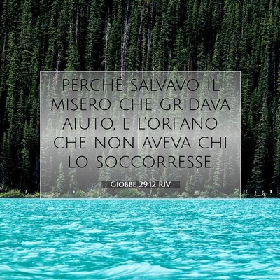Giobbe 29:12 RIV Immagine del Versetto della Bibbia