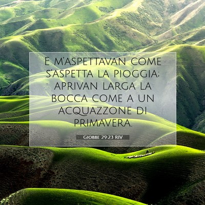 Giobbe 29:23 RIV Immagine del Versetto della Bibbia