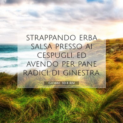 Giobbe 30:4 Versetto della Bibbia Spiegato
