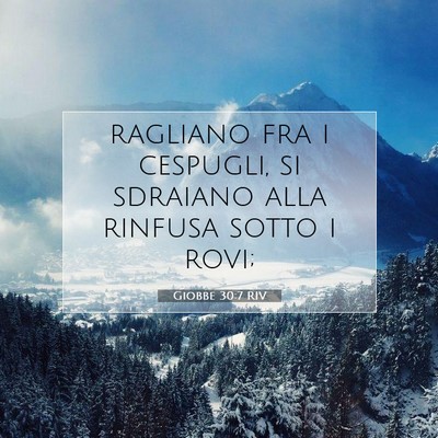 Giobbe 30:7 Versetto della Bibbia Spiegato