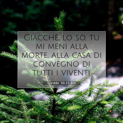 Giobbe 30:23 Versetto della Bibbia Spiegato