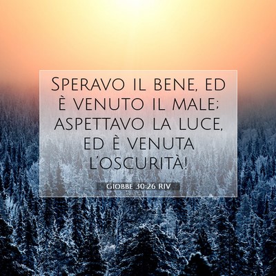 Giobbe 30:26 RIV Immagine del Versetto della Bibbia