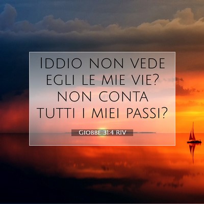 Giobbe 31:4 Versetto della Bibbia Spiegato