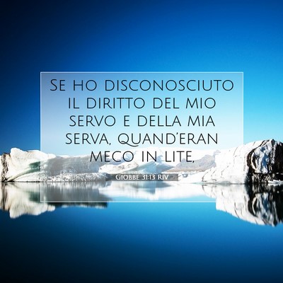 Giobbe 31:13 RIV Immagine del Versetto della Bibbia
