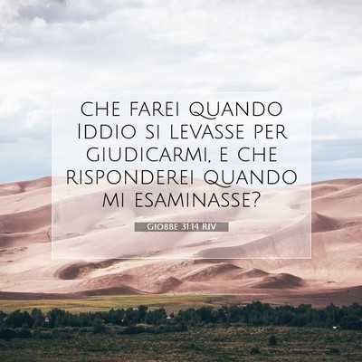 Giobbe 31:14 Versetto della Bibbia Spiegato