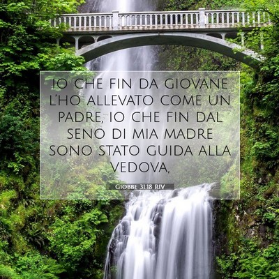 Giobbe 31:18 Versetto della Bibbia Spiegato