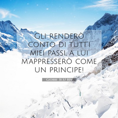 Giobbe 31:37 Versetto della Bibbia Spiegato