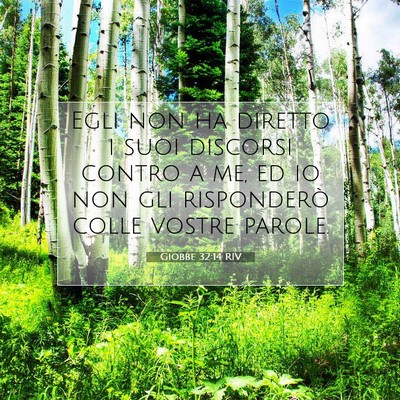 Giobbe 32:14 Versetto della Bibbia Spiegato