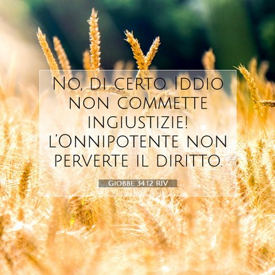 Giobbe 34:12 Versetto della Bibbia Spiegato