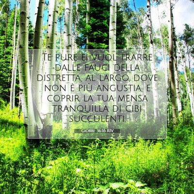 Giobbe 36:16 RIV Immagine del Versetto della Bibbia
