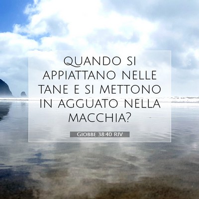 Giobbe 38:40 Versetto della Bibbia Spiegato