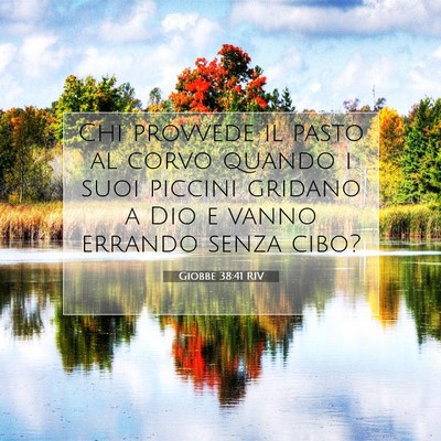 Giobbe 38:41 RIV Immagine del Versetto della Bibbia